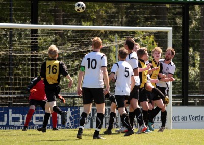 IMG_3439 (Large).JPG